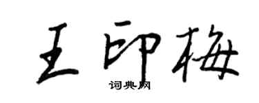 王正良王印梅行書個性簽名怎么寫
