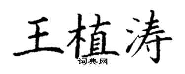 丁謙王植濤楷書個性簽名怎么寫