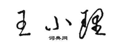 駱恆光王小理草書個性簽名怎么寫