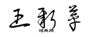 曾慶福王新苹草書個性簽名怎么寫