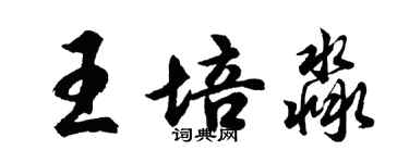胡問遂王培淼行書個性簽名怎么寫