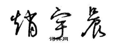 曾慶福趙宇晨草書個性簽名怎么寫