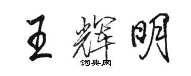 駱恆光王輝明行書個性簽名怎么寫