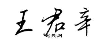 王正良王君辛行書個性簽名怎么寫