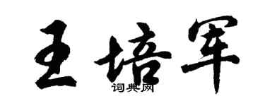 胡問遂王培軍行書個性簽名怎么寫