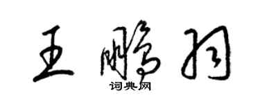 梁錦英王鵬羽草書個性簽名怎么寫