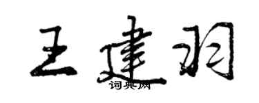 曾慶福王建羽行書個性簽名怎么寫