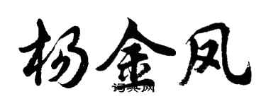 胡問遂楊金鳳行書個性簽名怎么寫
