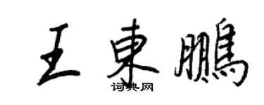 王正良王東鵬行書個性簽名怎么寫