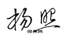 駱恆光楊照草書個性簽名怎么寫