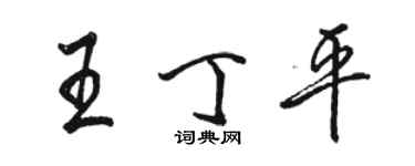 駱恆光王丁平行書個性簽名怎么寫