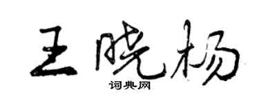 曾慶福王曉楊行書個性簽名怎么寫