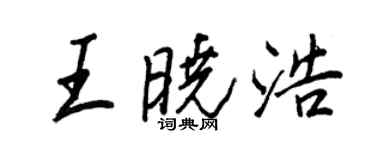 王正良王曉浩行書個性簽名怎么寫