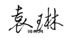 駱恆光袁琳行書個性簽名怎么寫
