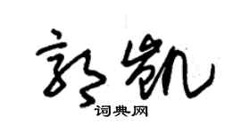 朱錫榮郭凱草書個性簽名怎么寫