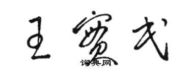 駱恆光王實民草書個性簽名怎么寫