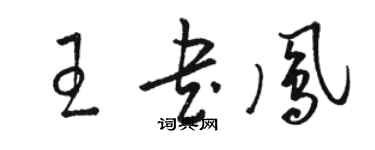 駱恆光王書鳳草書個性簽名怎么寫