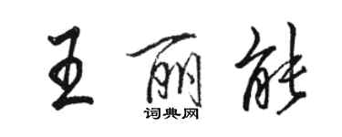 駱恆光王麗能行書個性簽名怎么寫