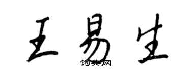 王正良王易生行書個性簽名怎么寫
