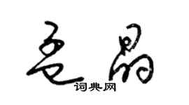 梁錦英孟晶草書個性簽名怎么寫