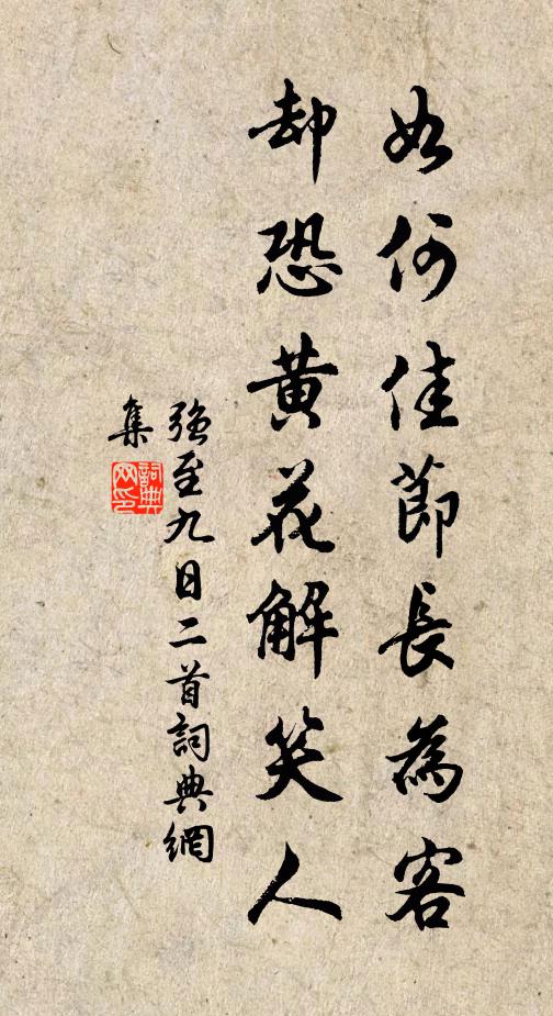 殘僧極荒怠，深得酒中樂 詩詞名句