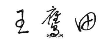 駱恆光王鷹田草書個性簽名怎么寫