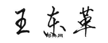 駱恆光王東革行書個性簽名怎么寫