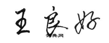 駱恆光王良好行書個性簽名怎么寫