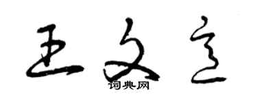 曾慶福王文意草書個性簽名怎么寫