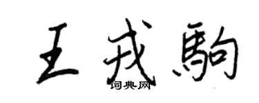 王正良王戎駒行書個性簽名怎么寫