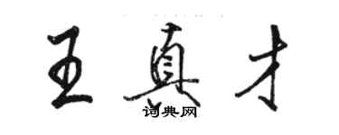 駱恆光王真才行書個性簽名怎么寫