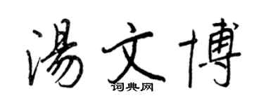 王正良湯文博行書個性簽名怎么寫
