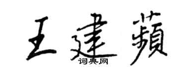 王正良王建苹行書個性簽名怎么寫