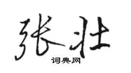 駱恆光張壯行書個性簽名怎么寫