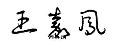 曾慶福王嘉鳳草書個性簽名怎么寫