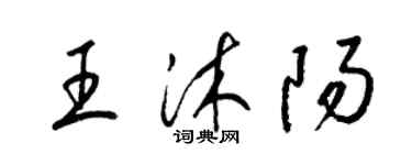 梁錦英王沐陽草書個性簽名怎么寫