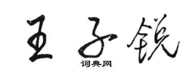駱恆光王子銳行書個性簽名怎么寫