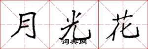 袁強月光花楷書怎么寫