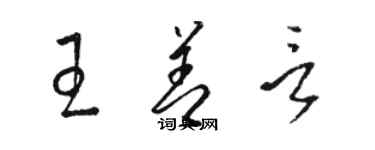 駱恆光王善言草書個性簽名怎么寫