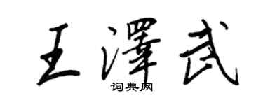 王正良王澤武行書個性簽名怎么寫