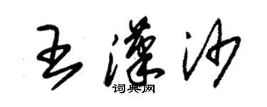 朱錫榮王漢沙草書個性簽名怎么寫