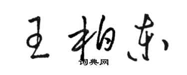 駱恆光王柏東草書個性簽名怎么寫