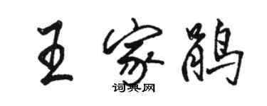 駱恆光王家鵑行書個性簽名怎么寫