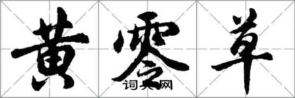 胡問遂黃零草行書怎么寫