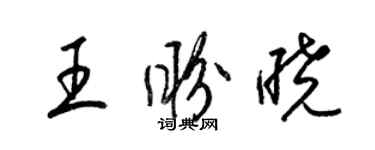 梁錦英王盼曉草書個性簽名怎么寫