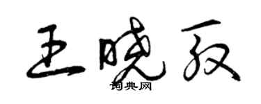 曾慶福王曉殷草書個性簽名怎么寫