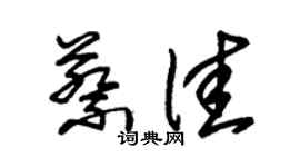 朱錫榮蔡佳草書個性簽名怎么寫