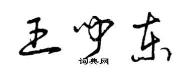 曾慶福王聞東草書個性簽名怎么寫