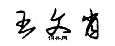 朱錫榮王文肖草書個性簽名怎么寫