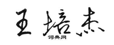 駱恆光王培傑行書個性簽名怎么寫